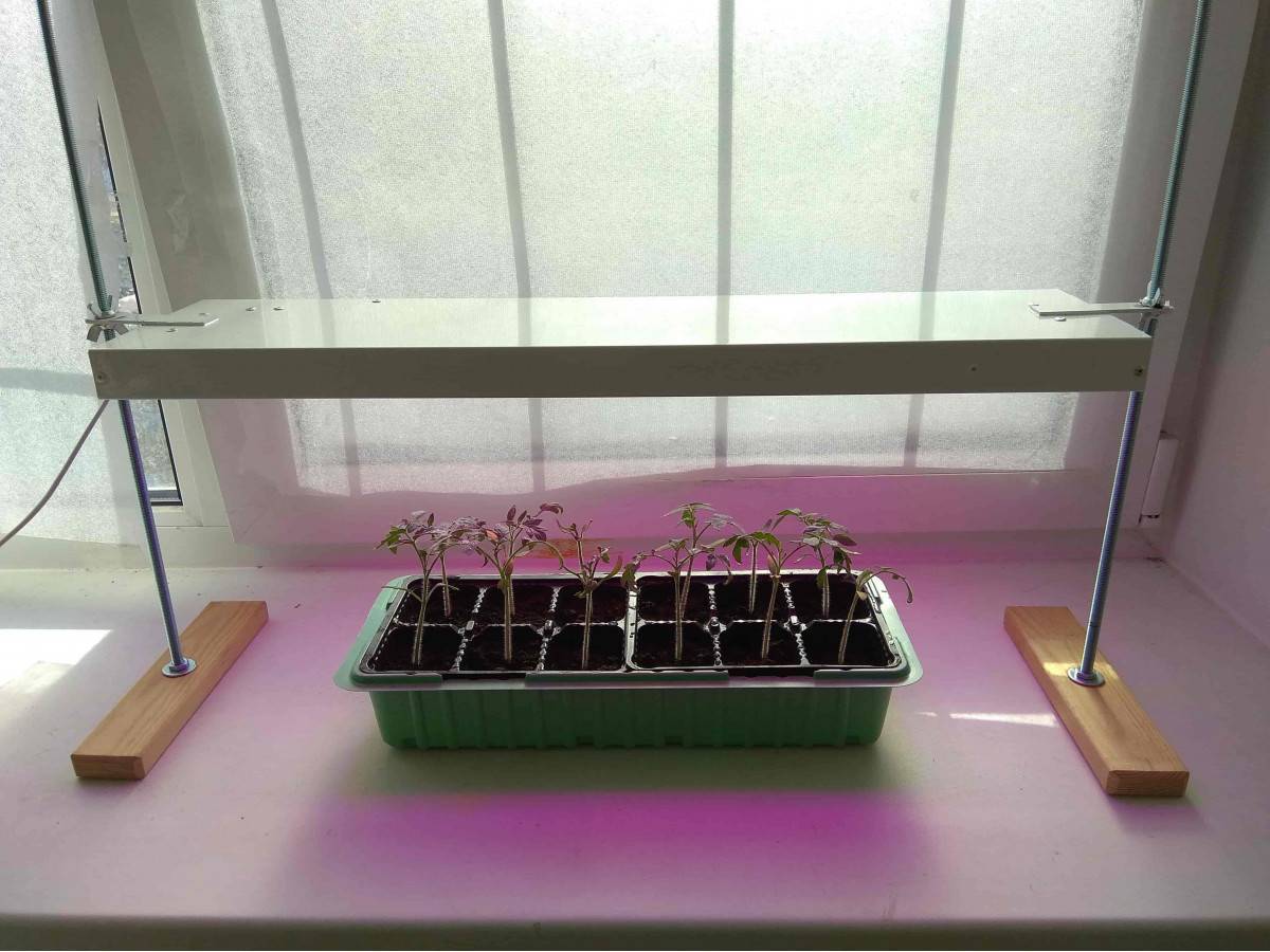 Фито-лампа светодиодная для растений на подоконнике: как выбрать, какой свет лучше