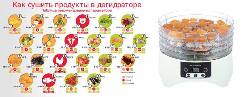 Топ-10: сушилки для овощей и фруктов рейтинг лучших моделей