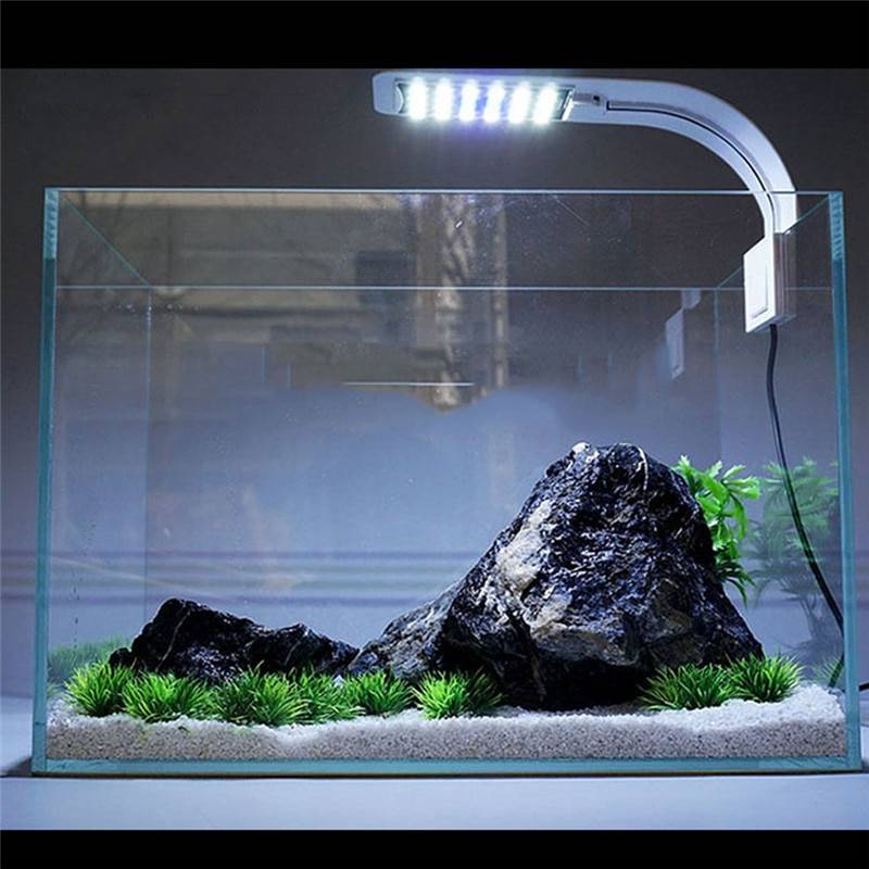 Светодиодное освещение аквариума. ⋆ руководство электрика