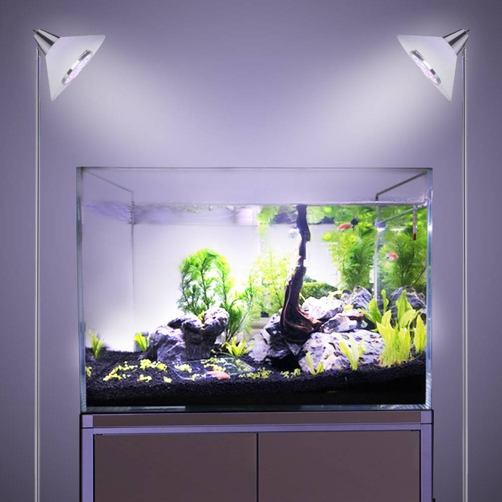 Лампы для аквариума: какие выбрать, как устанавливать