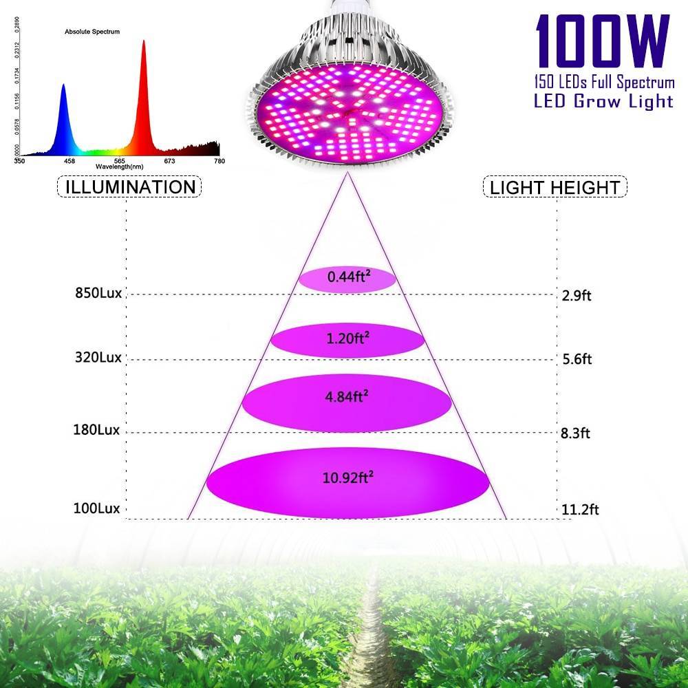 Светодиоды для растений - красные, синие или светодиоды полного спектра
