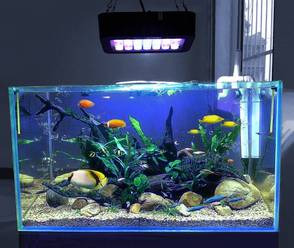Подсветка аквариума светодиодной лентой: инструкция по монтажу своими руками
