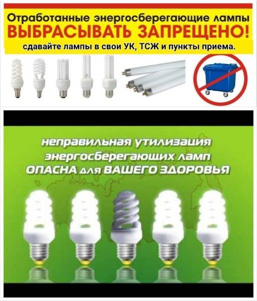 Утилизация светодиодных ламп: нужно ли утилизировать