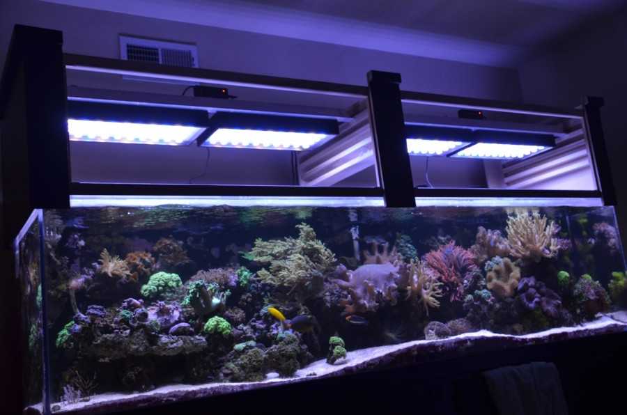 Аквариумные лампы для растений
аквариумные лампы для растений