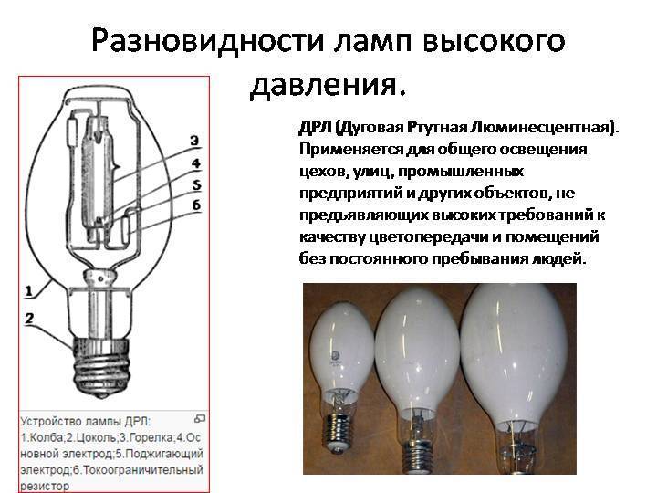 Неоновые лампы: принцип работы, разновидности, что представляет свет лампочки, как работает для освещения дома и квартиры > свет и светильники