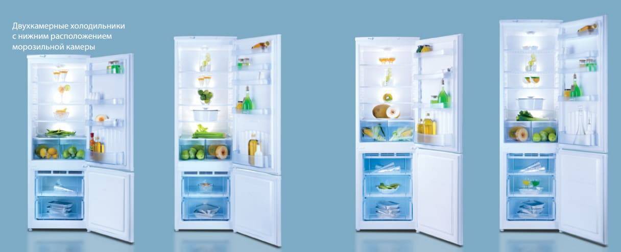 Двухкамерный холодильник nord (36 фото): 2-камерные модели и потребляемая мощность, отзывы