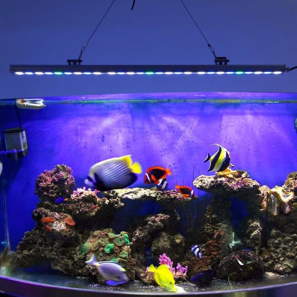 Инструкции изготовления различных аквариумных подсветок |