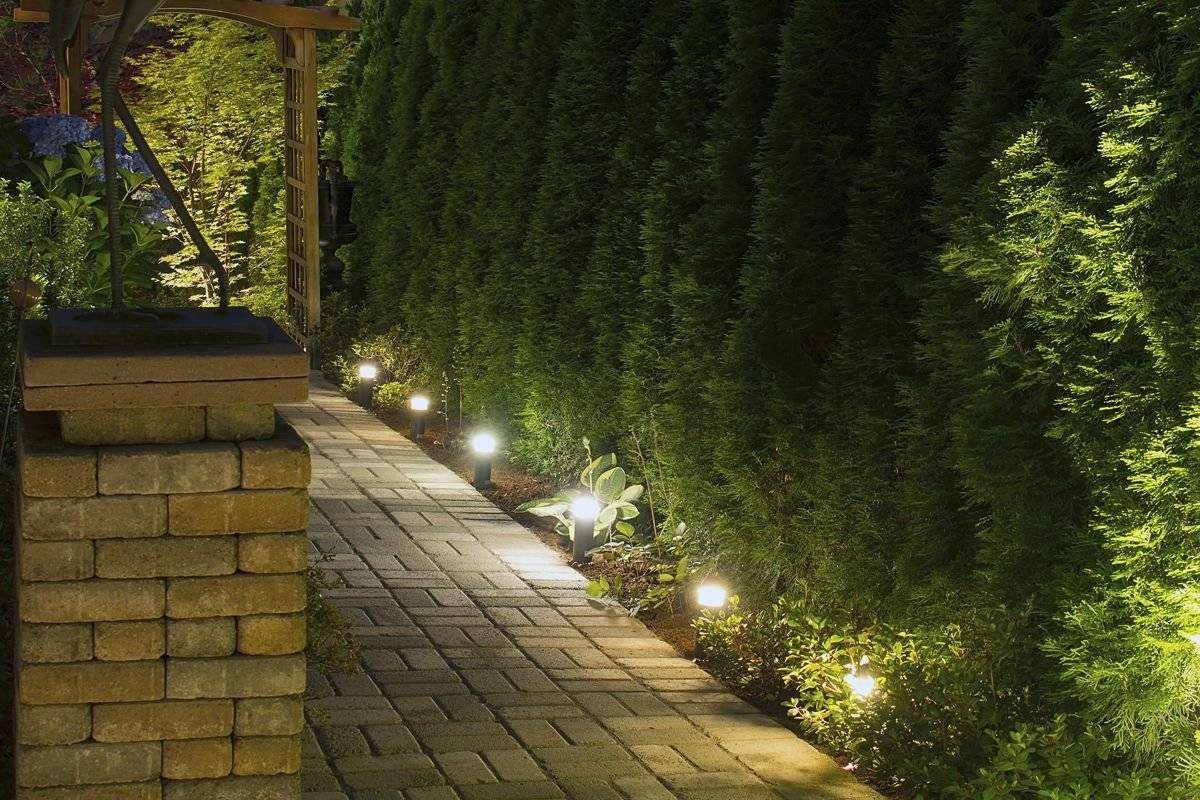 Варианты подсветки садовой дорожки на даче