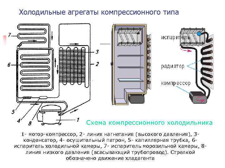 Принцип работы холодильника с одним и двумя компрессорами, разным количеством камер и режимами