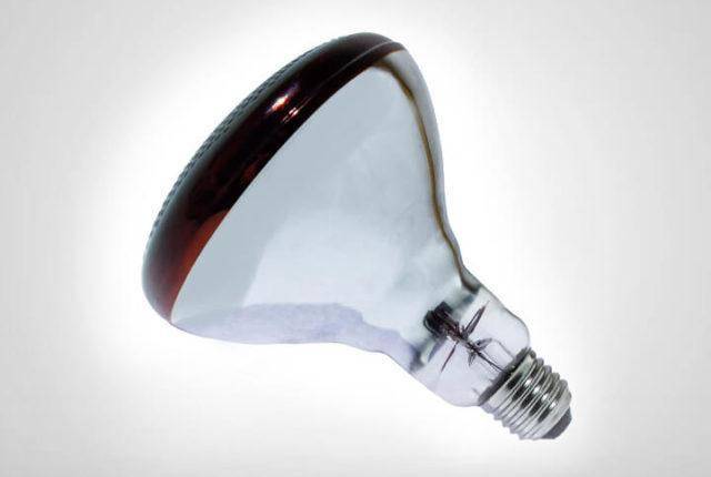 Инфракрасные лампы для обогрева: ик нагревательные тепловые для жилых помещений и дома