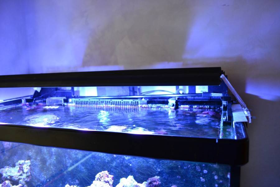 Светодиоды для аквариума: ленты, лампы, выбор