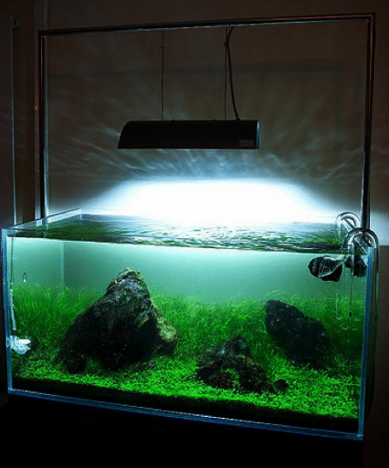 Изготавливаем светильник для аквариума своими руками