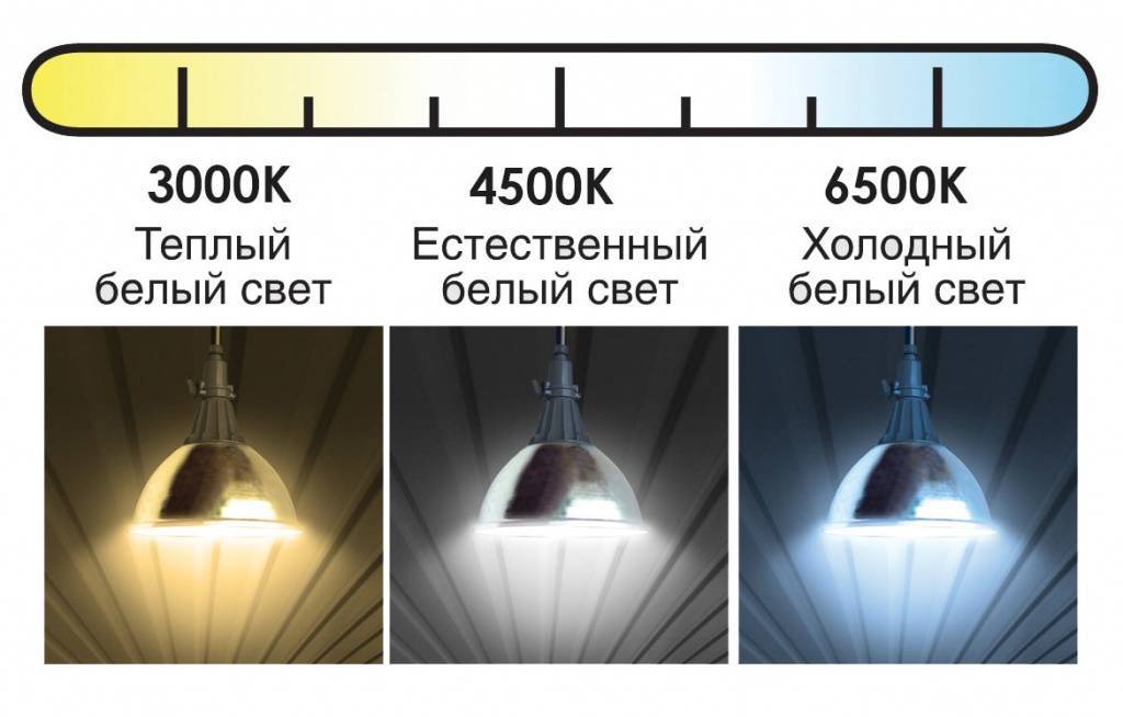 Теплый и холодный свет светодиодных ламп: сколько в кельвинах