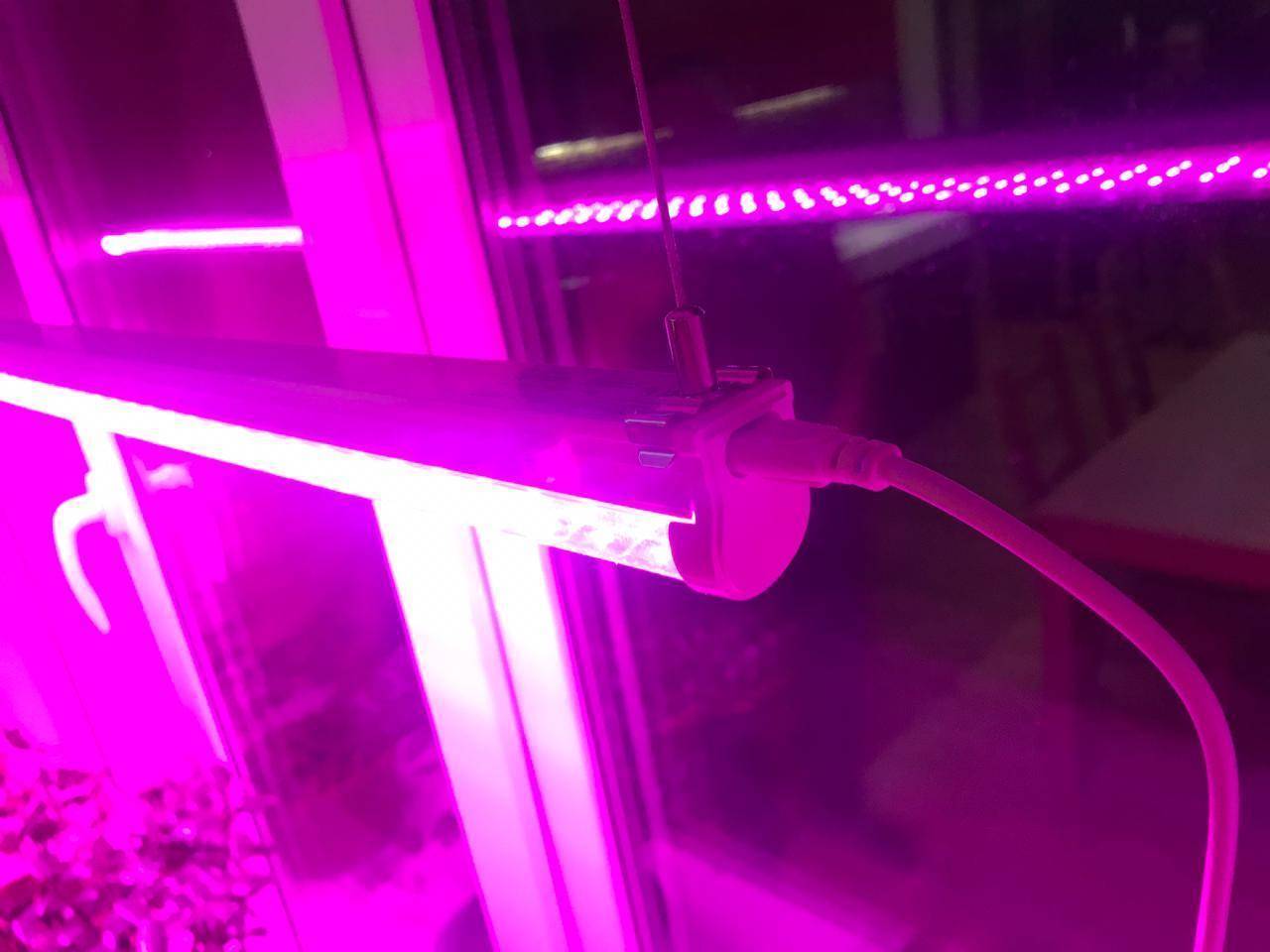 Как сделать светодиодную фитолампу для растений самостоятельно