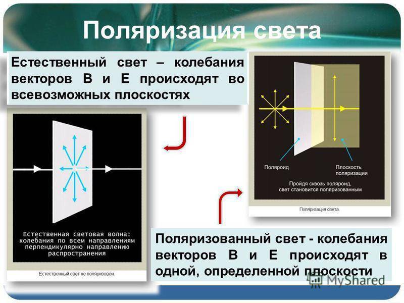 Поляризация света фото