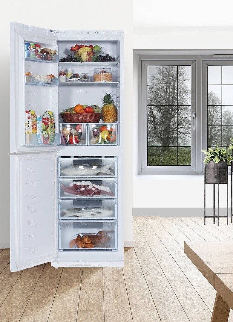 Обзор холодильников «бирюса»: рейтинг лучших моделей + сравнение с другими брендами