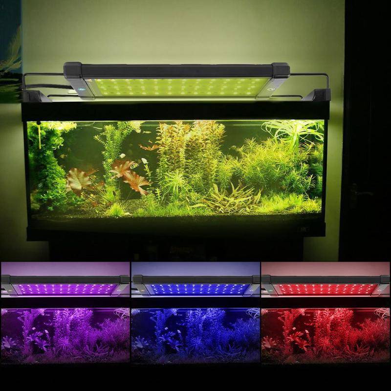 Как выбрать и установить светодиодную ленту для освещения аквариума