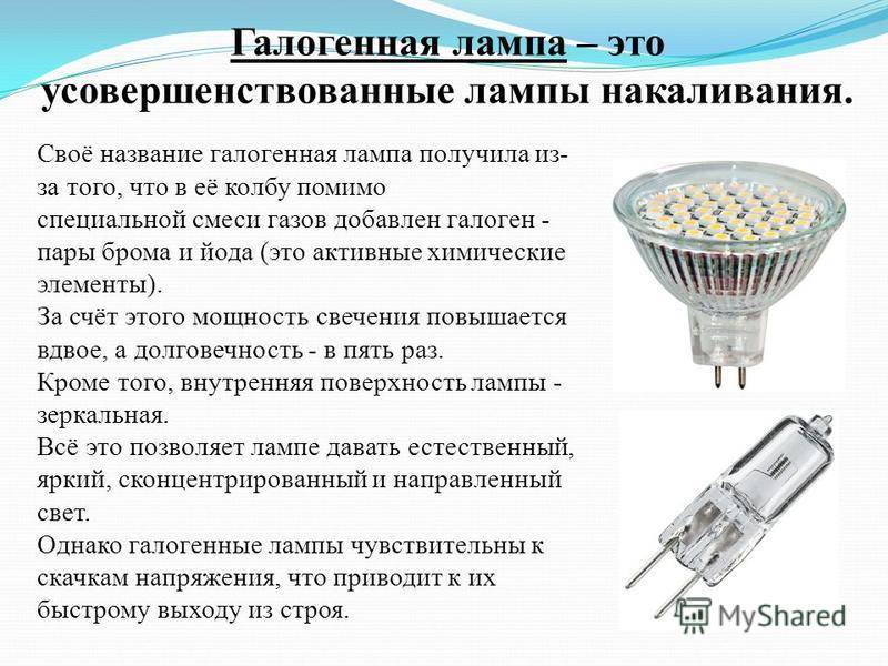 Галогеновые лампы - обзор для люстр и точечных светильников, преимущества и срок службы