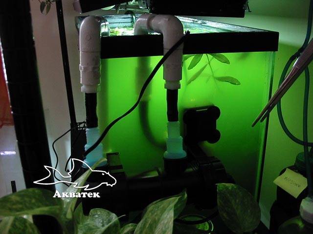 Самодельный ультрафиолетовый стерилизатор для аквариума своими руками (фото, мастер-класс, пошагово)