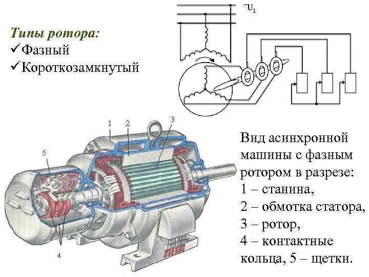 Модель электродвигателя схема с подписями