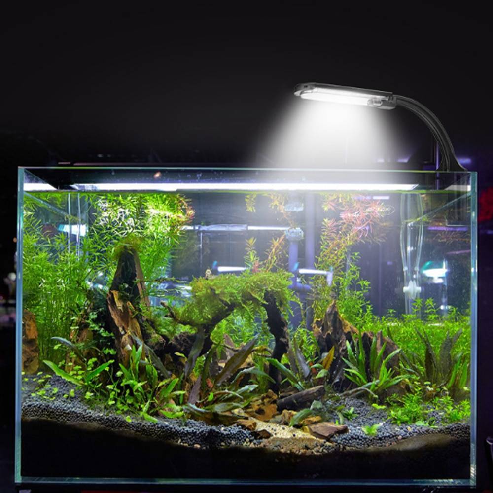 Выбор ламп для правильного освещения аквариума