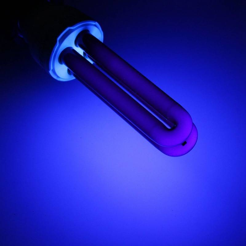 Фитолампа своими руками: как сделать светодиодную или ультрафиолетовую