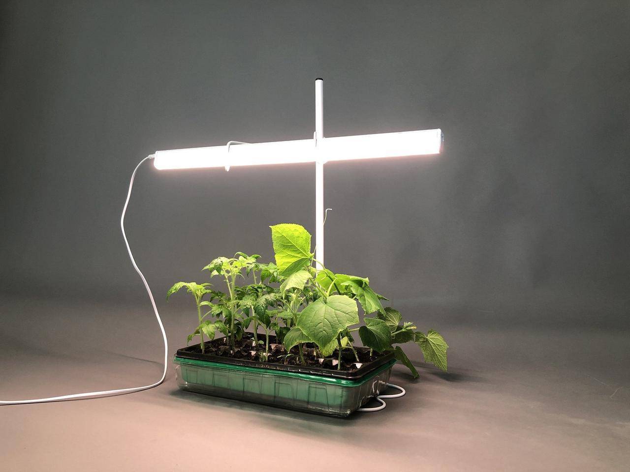 Правильные лампы для подсветки цветов и растений