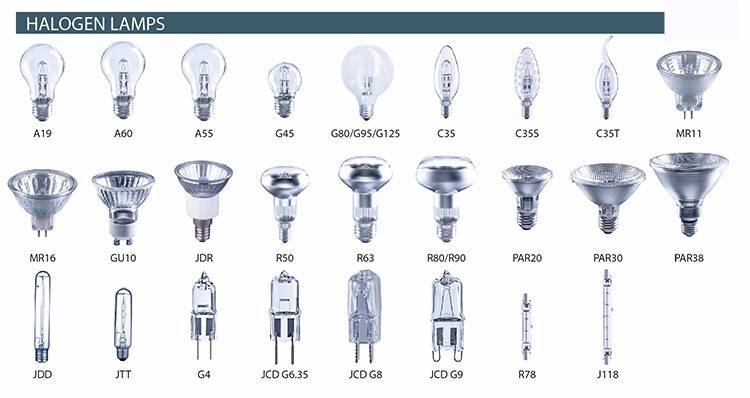 Лампы для дома: разновидности, формы, современные модели