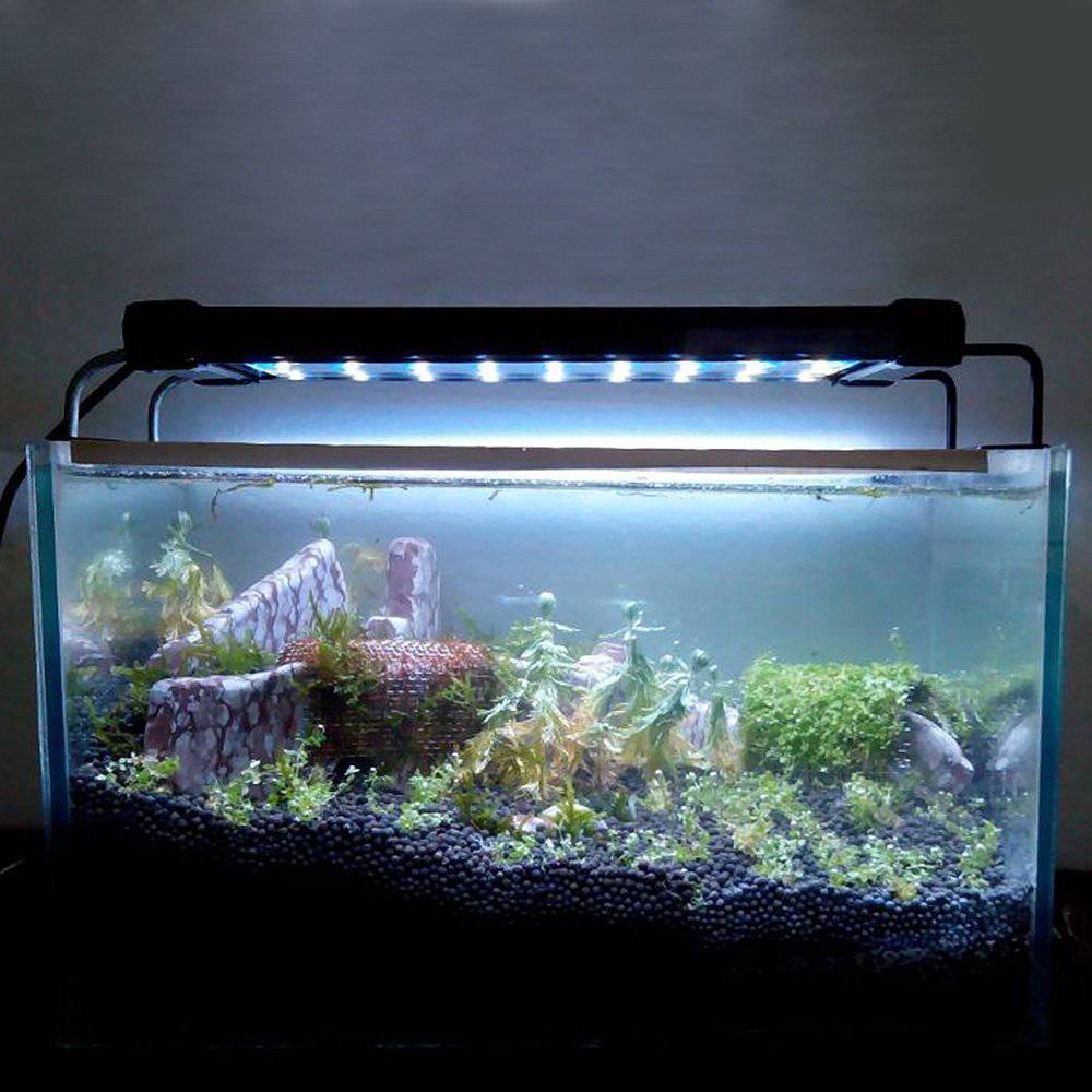 Освещение аквариума светодиодными лампами своими руками