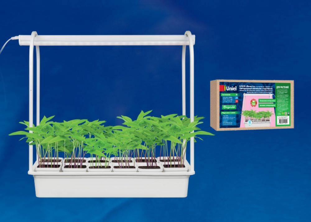 Как выбрать светодиодную фитолампу для растений