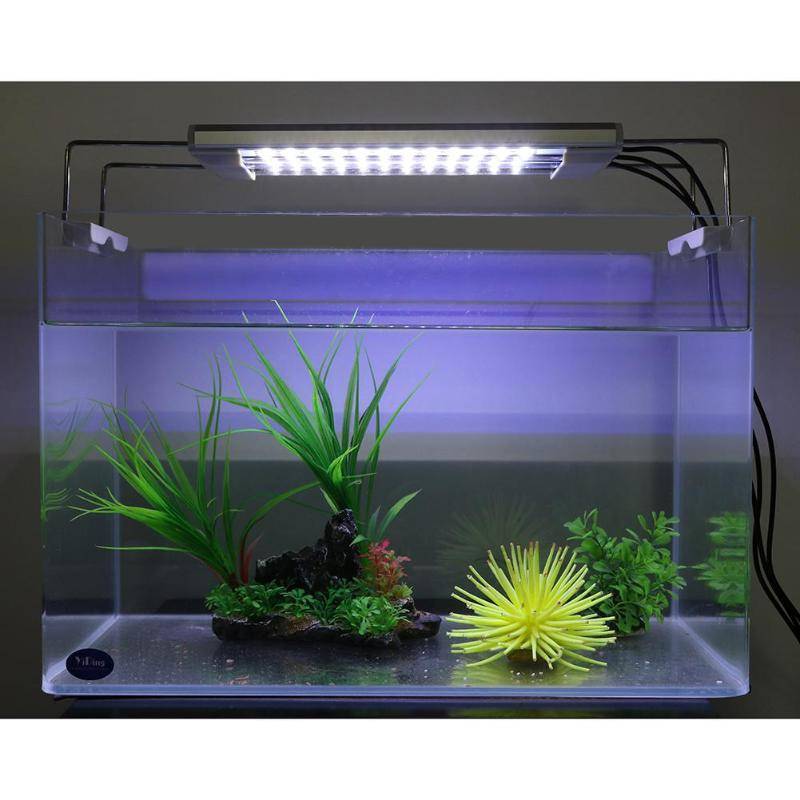 Правильная установка светодиодного освещения для акварима