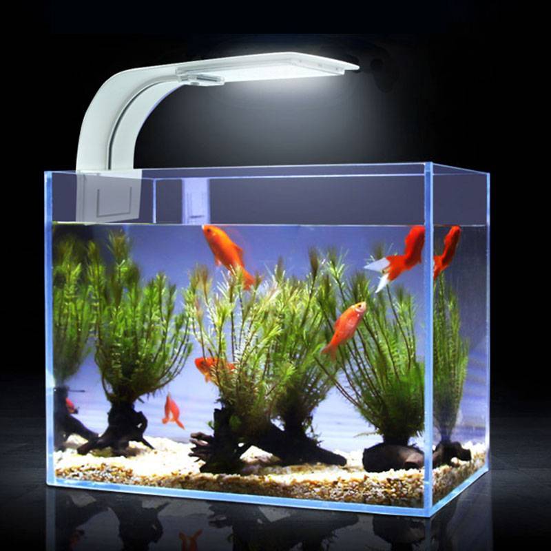 Светодиодное освещение аквариума своими руками