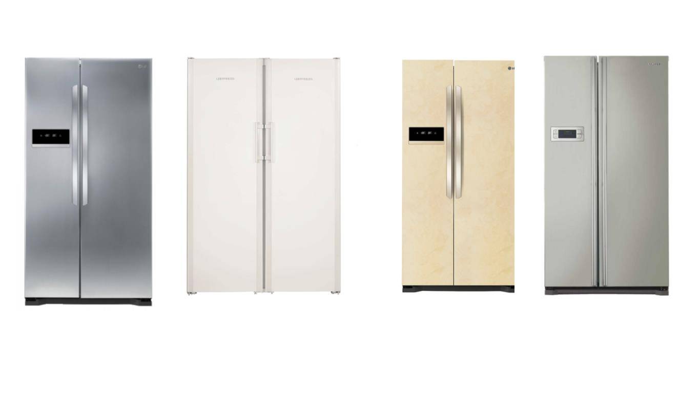Двухдверный холодильник: плюсы и минусы, правила выбора