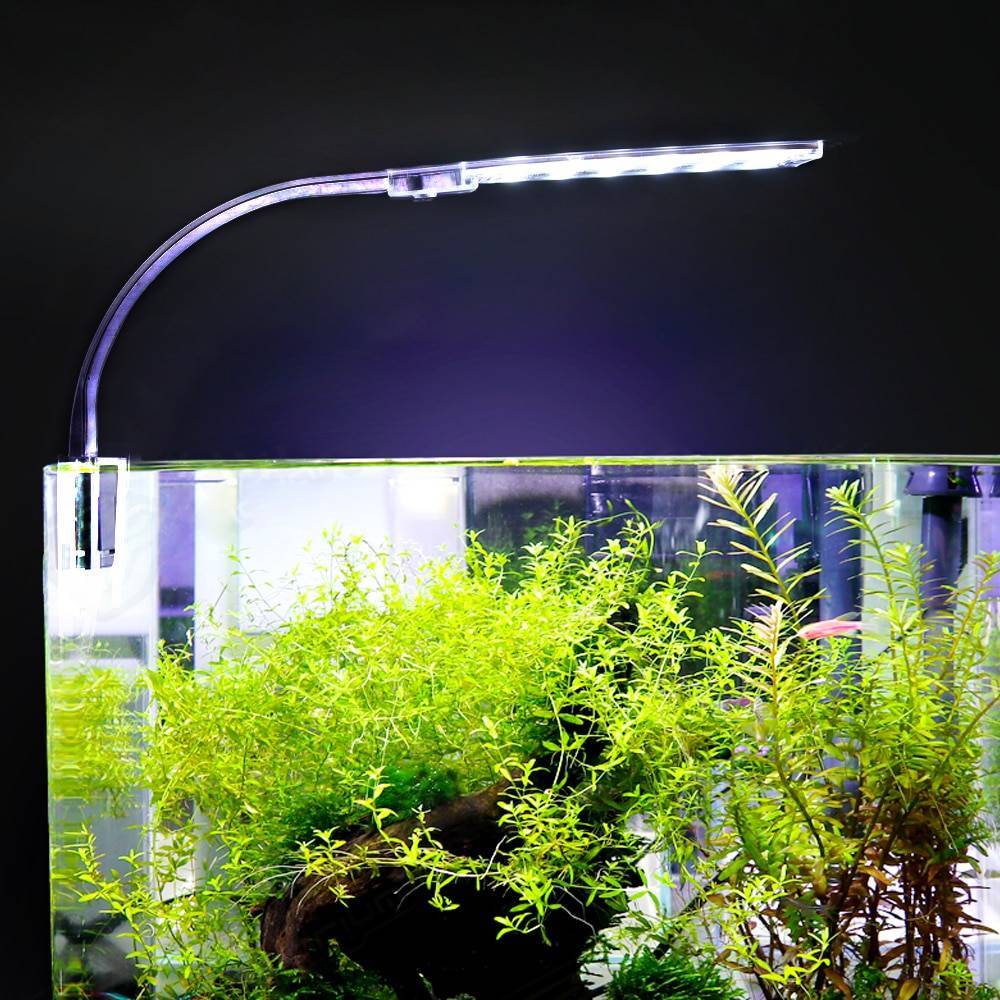 Как организовать светодиодную подсветку аквариума