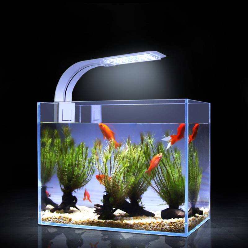 Как рассчитать свет для аквариума - нормы в люменах на литр
