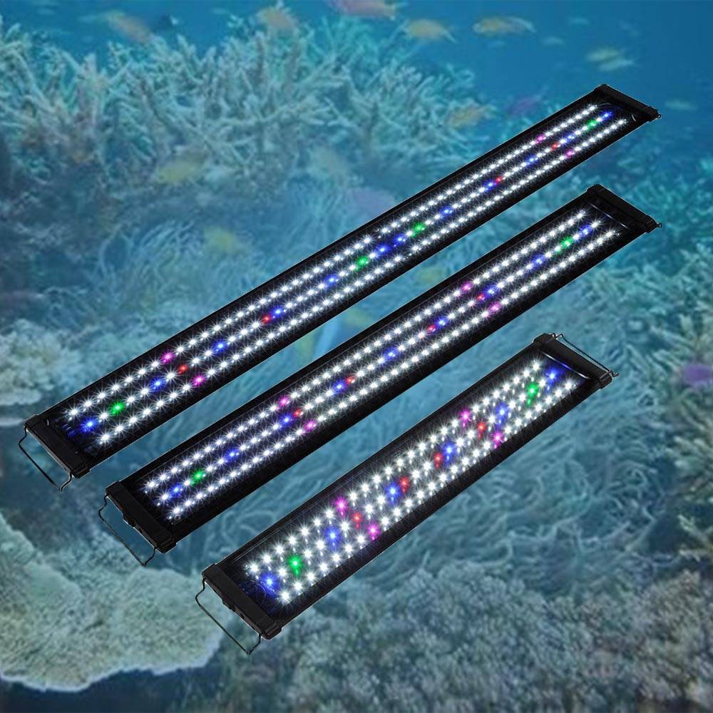 3 способа расчета освещения для аквариума - мощность светодиодных и люминесцентных ламп.