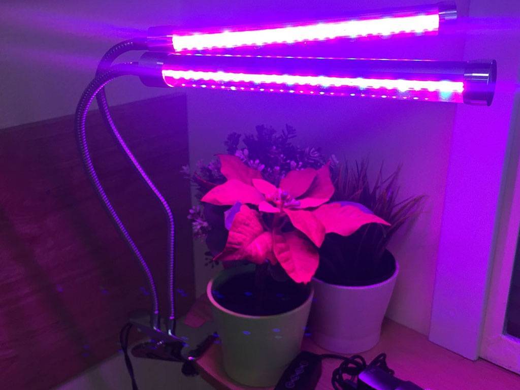 Светодиодные лампы для растений, фитолампы, выбор для растений