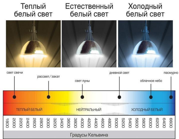 Аквариумное освещение помощь в понимании цветовой температуры в кельвинах, длины волны в нанометрах, par, pas, pur