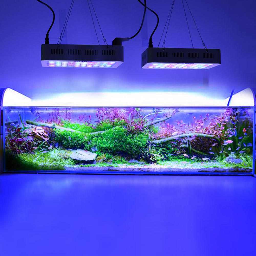 Освещение аквариума светодиодными лампами своими руками