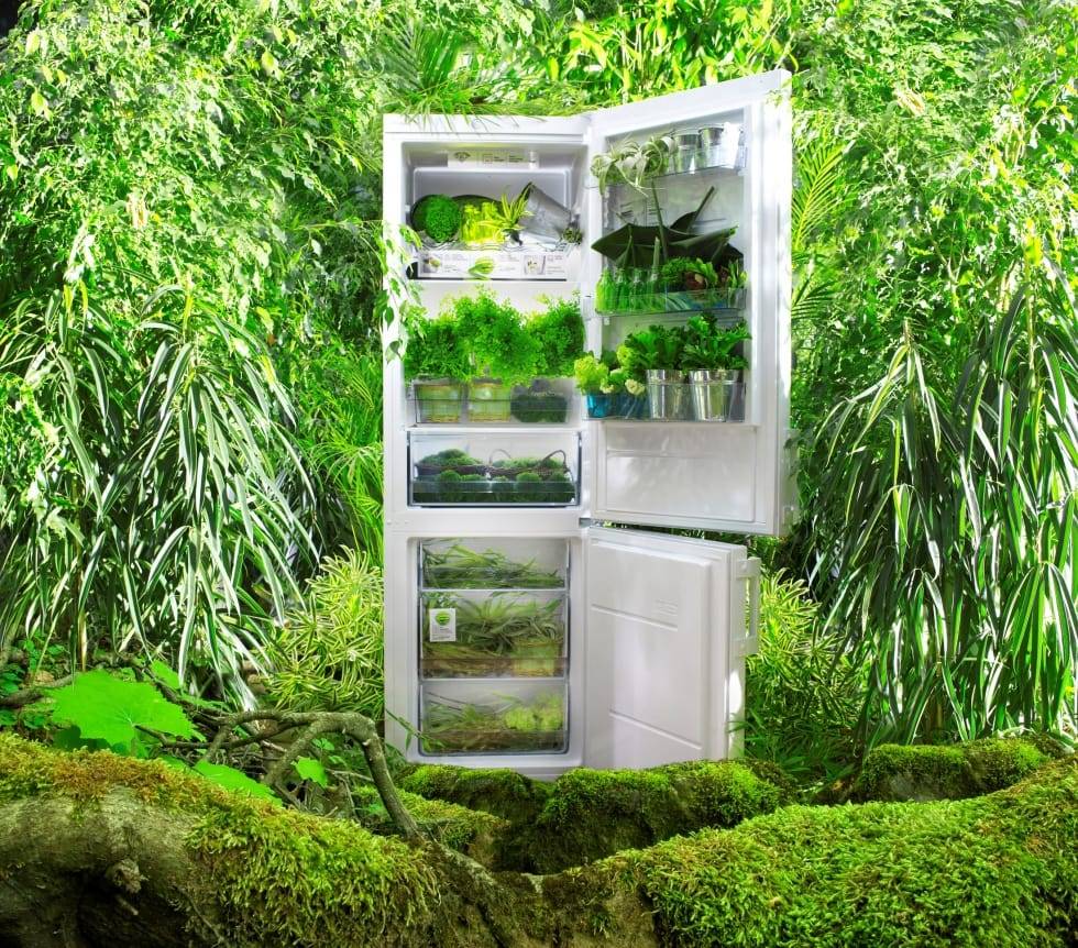 Холодильники whirlpool: отзывы, обзор модельного ряда + на что обратить внимание перед покупкой