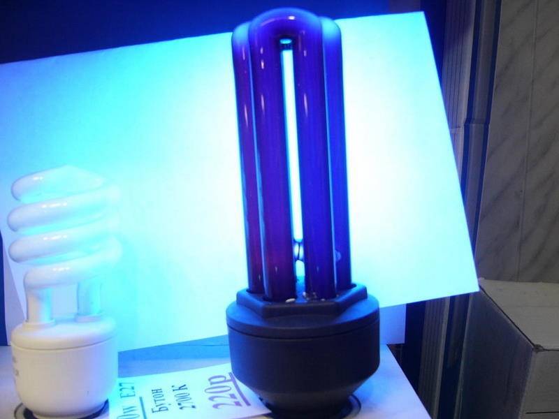 11 лучших кварцевых ламп для дома