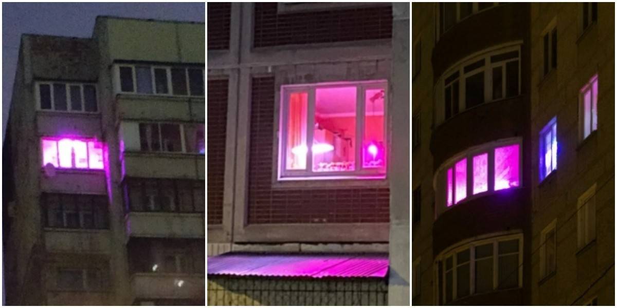 Розовый свет в окнах: что это такое, для чего нужен