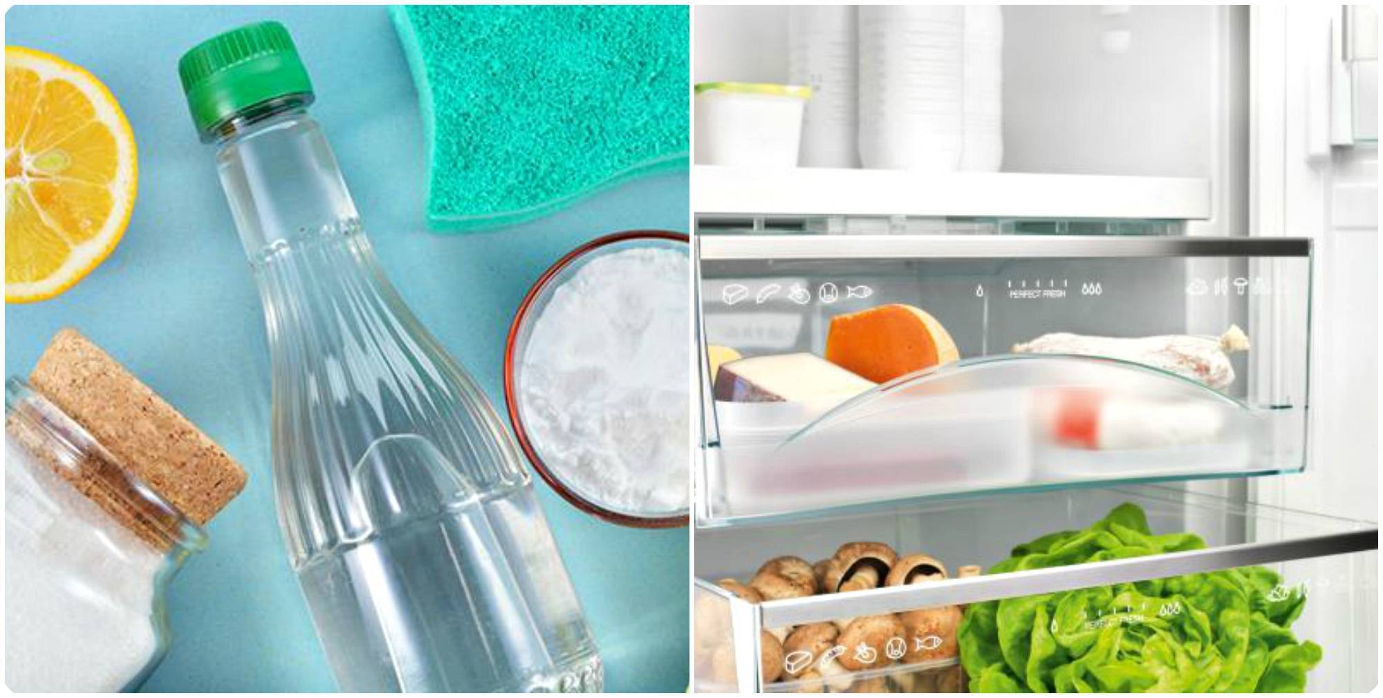 Как быстро избавиться от неприятного запаха в холодильнике: народные и химические способы