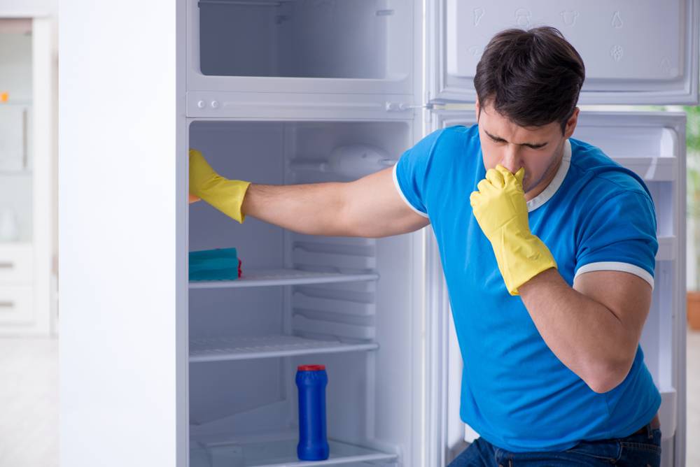 Как избавиться от запаха в холодильнике — домашние советы