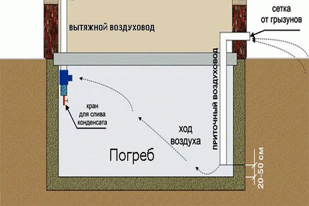 Вытяжка в овощной яме схема