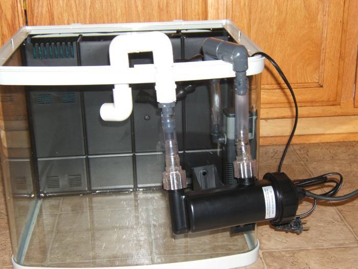 Уф-стерилизатор для аквариума: как сделать своими руками, зачем нужна ультрафиолетовая лампа, внешний фильтр, особенности использования для черепах