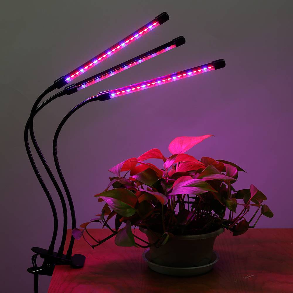Светодиодные лампы для растений: виды, характеристики и изготовление своими руками