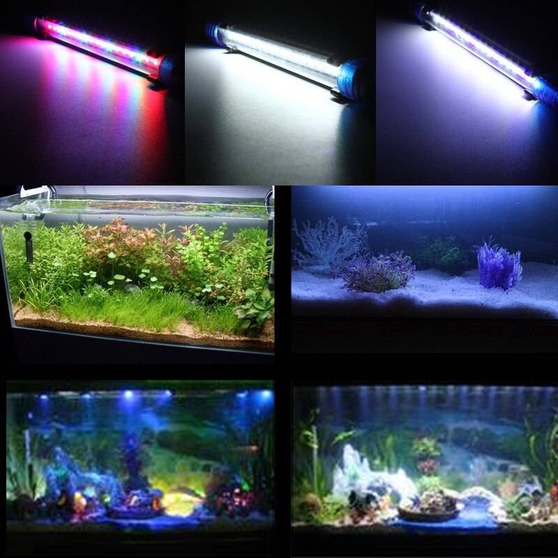Освещение аквариума люминесцентными лампами и другими источниками света