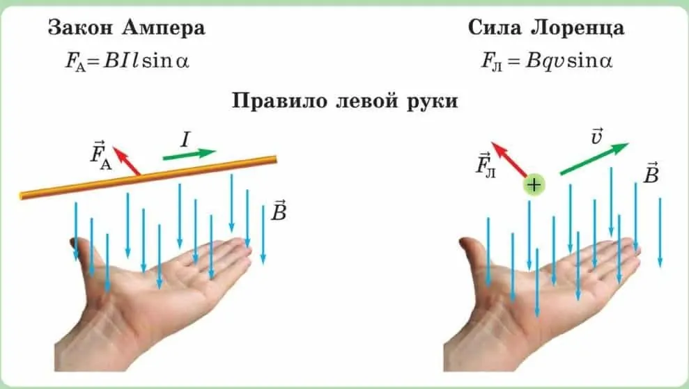 Правило левой руки: примеры задач, формулы, объяснение