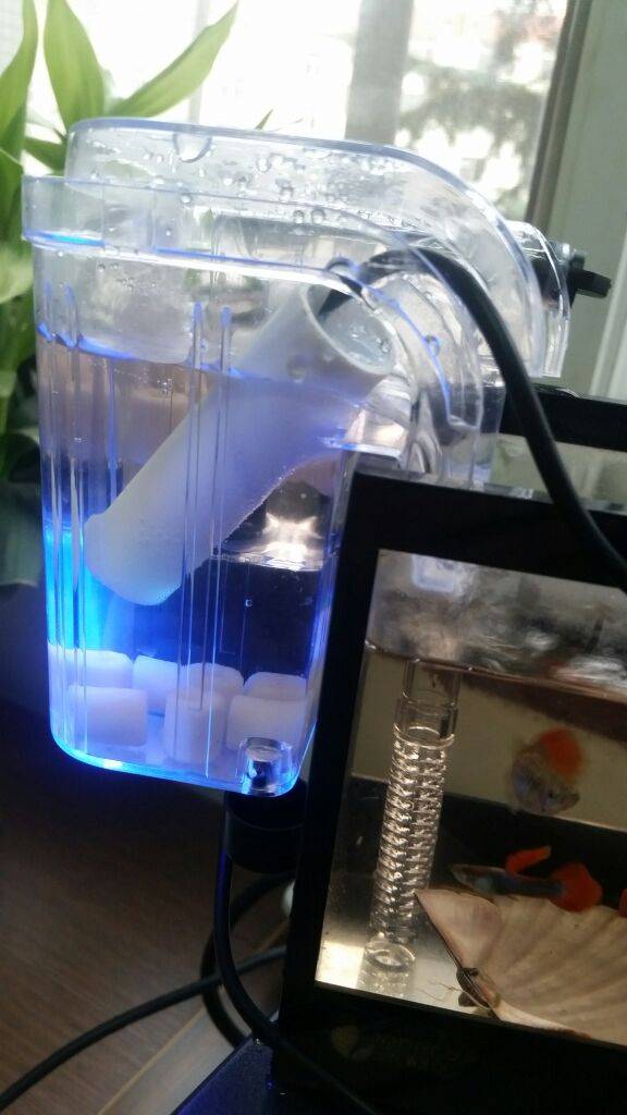 Как сделать и использовать ультрафиолетовый (УФ) стерилизатор для аквариума